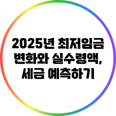 2025년 최저임금 변화와 실수령액, 세금 예측하기