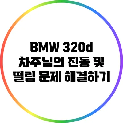 BMW 320d 차주님의 진동 및 떨림 문제 해결하기