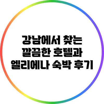 강남에서 찾는 깔끔한 호텔과 엘리에나 숙박 후기
