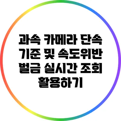 과속 카메라 단속 기준 및 속도위반 벌금 실시간 조회 활용하기