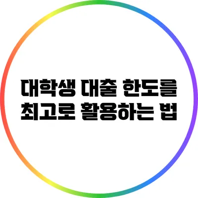 대학생 대출 한도를 최고로 활용하는 법
