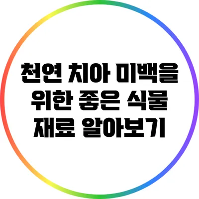 천연 치아 미백을 위한 좋은 식물 재료 알아보기