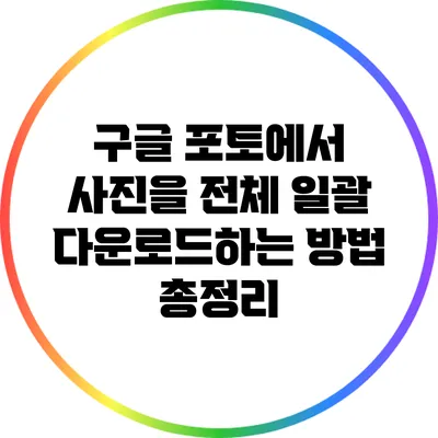 구글 포토에서 사진을 전체 일괄 다운로드하는 방법 총정리