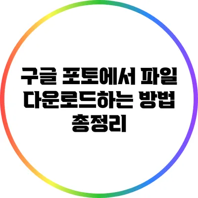 구글 포토에서 파일 다운로드하는 방법 총정리