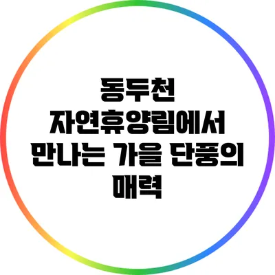 동두천 자연휴양림에서 만나는 가을 단풍의 매력