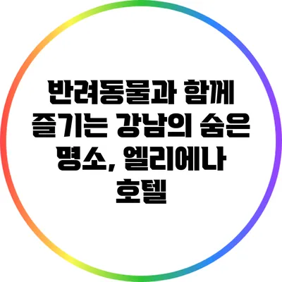 반려동물과 함께 즐기는 강남의 숨은 명소, 엘리에나 호텔