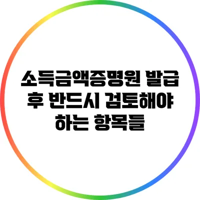 소득금액증명원 발급 후 반드시 검토해야 하는 항목들