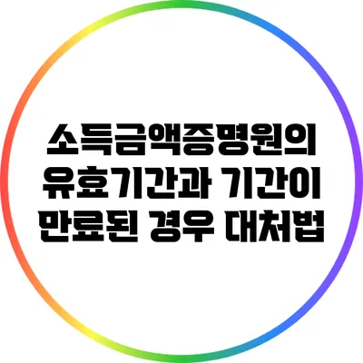 소득금액증명원의 유효기간과 기간이 만료된 경우 대처법