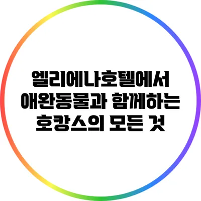 엘리에나호텔에서 애완동물과 함께하는 호캉스의 모든 것