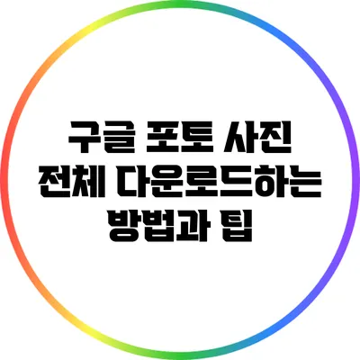 구글 포토: 사진 전체 다운로드하는 방법과 팁