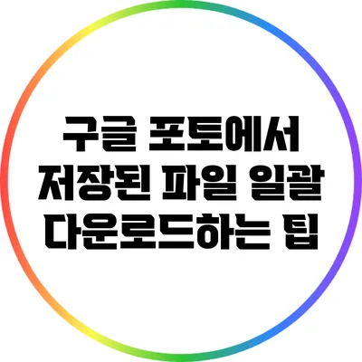 구글 포토에서 저장된 파일 일괄 다운로드하는 팁