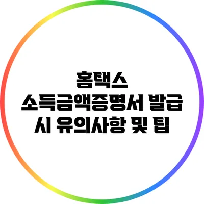 홈택스 소득금액증명서 발급 시 유의사항 및 팁