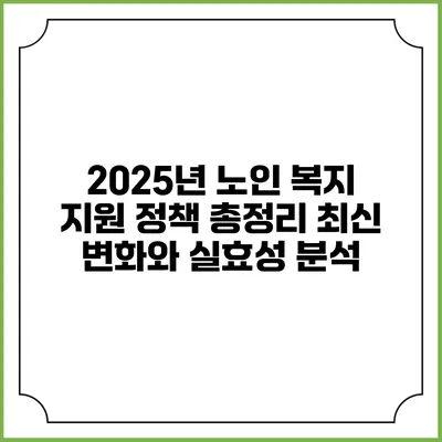 2025년 노인 복지 지원 정책 총정리: 최신 변화와 실효성 분석