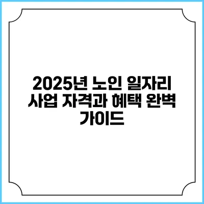 2025년 노인 일자리 사업: 자격과 혜택 완벽 가이드