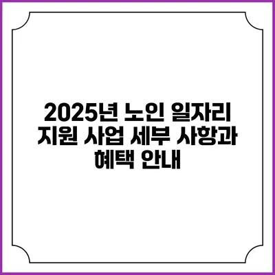 2025년 노인 일자리 지원 사업: 세부 사항과 혜택 안내