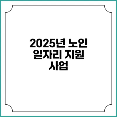 2025년 노인 일자리 지원 사업