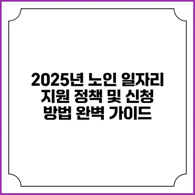 2025년 노인 일자리 지원 정책 및 신청 방법 완벽 가이드
