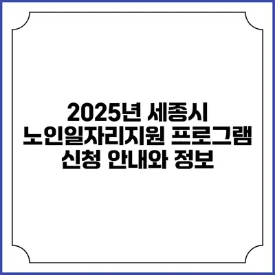 2025년 세종시 노인일자리지원 프로그램 신청 안내와 정보