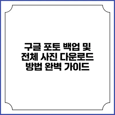 구글 포토 백업 및 전체 사진 다운로드 방법 완벽 가이드