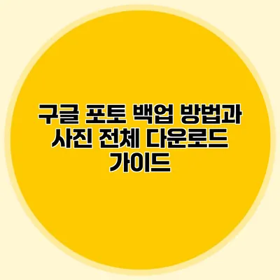 구글 포토 백업 방법과 사진 전체 다운로드 가이드