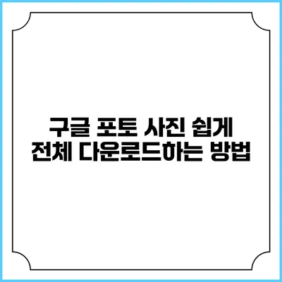 구글 포토 사진 쉽게 전체 다운로드하는 방법