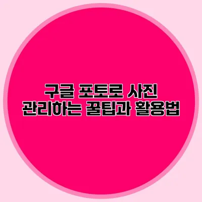 구글 포토로 사진 관리하는 꿀팁과 활용법