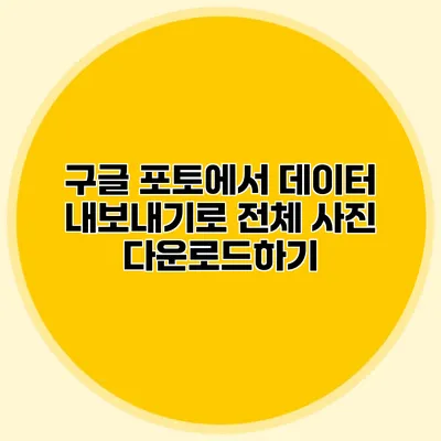 구글 포토에서 데이터 내보내기로 전체 사진 다운로드하기
