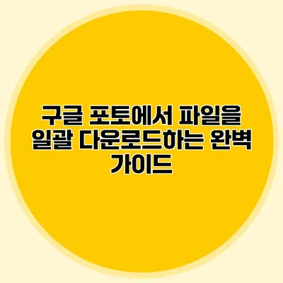 구글 포토에서 파일을 일괄 다운로드하는 완벽 가이드