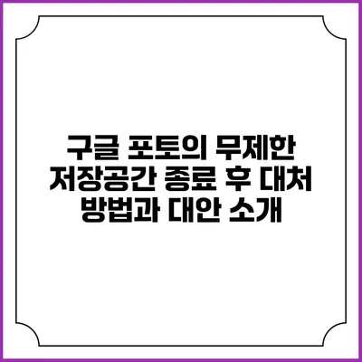 구글 포토의 무제한 저장공간 종료 후 대처 방법과 대안 소개