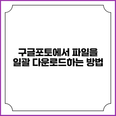 구글포토에서 파일을 일괄 다운로드하는 방법