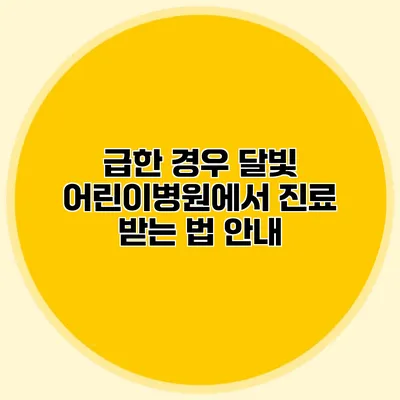 급한 경우 달빛 어린이병원에서 진료 받는 법 안내