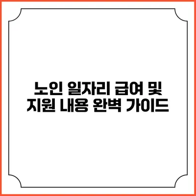 노인 일자리 급여 및 지원 내용 완벽 가이드