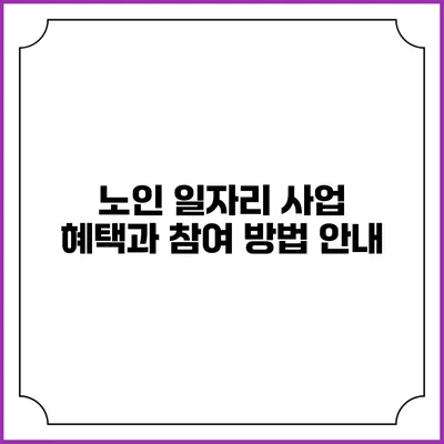 노인 일자리 사업: 혜택과 참여 방법 안내