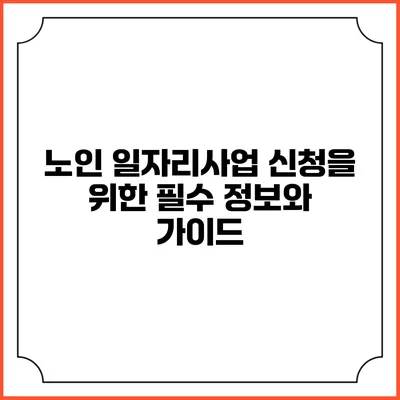노인 일자리사업 신청을 위한 필수 정보와 가이드