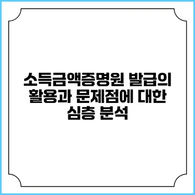 소득금액증명원 발급의 활용과 문제점에 대한 심층 분석
