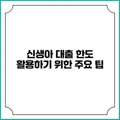 신생아 대출 한도 활용하기 위한 주요 팁