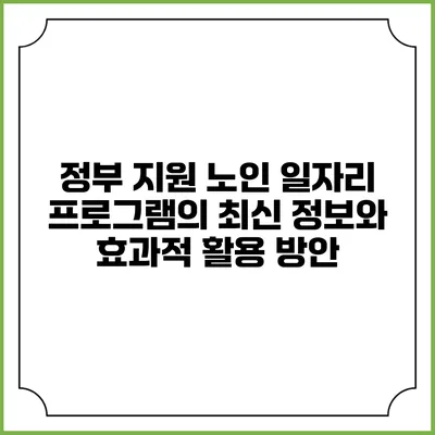 정부 지원 노인 일자리 프로그램의 최신 정보와 효과적 활용 방안