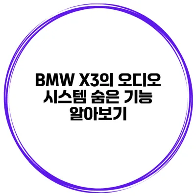 BMW X3의 오디오 시스템 숨은 기능 알아보기