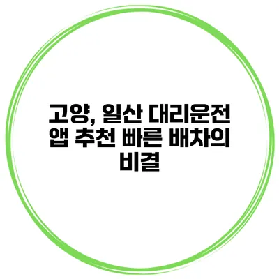 고양, 일산 대리운전 앱 추천 빠른 배차의 비결