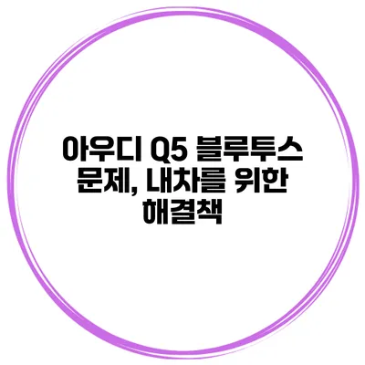 아우디 Q5 블루투스 문제, 내차를 위한 해결책
