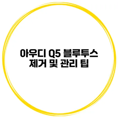 아우디 Q5 블루투스 제거 및 관리 팁