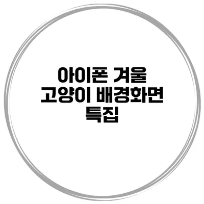 아이폰 겨울 고양이 배경화면 특집