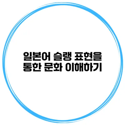 일본어 슬랭 표현을 통한 문화 이해하기