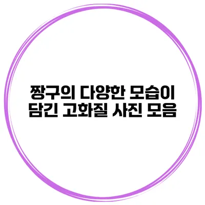 짱구의 다양한 모습이 담긴 고화질 사진 모음