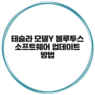 테슬라 모델Y 블루투스 소프트웨어 업데이트 방법